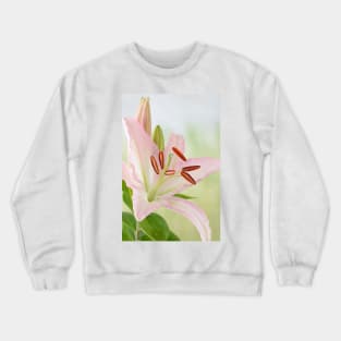 Lilium  Lily Crewneck Sweatshirt